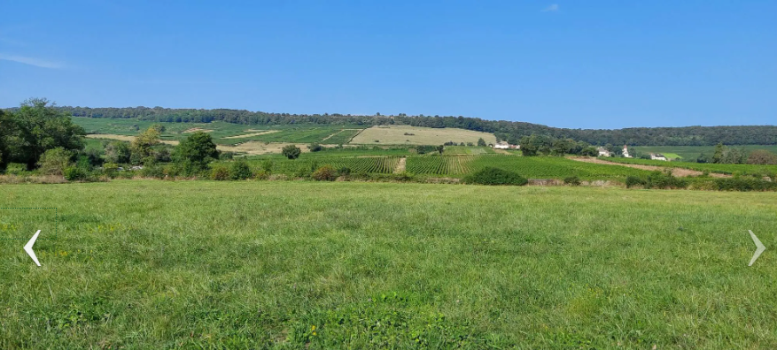 Maison avec terrain à Chenôves (#5152318)