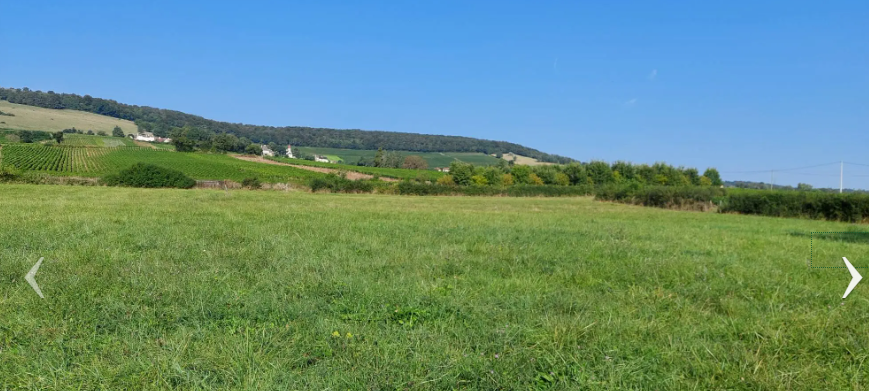 Maison avec terrain à Chenôves (#5152318)