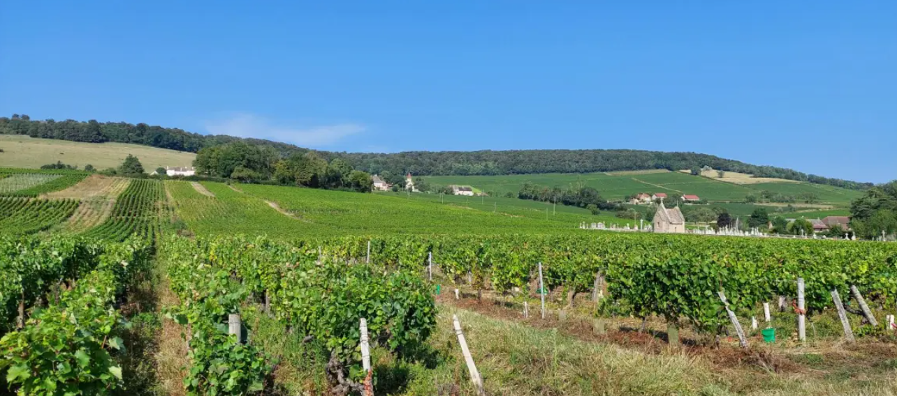 Maison avec terrain à Chenôves (#5152318)