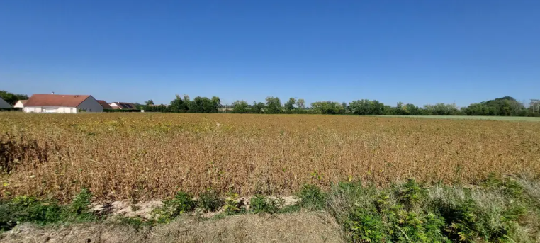 Maison avec terrain à Ciel (#5152317)