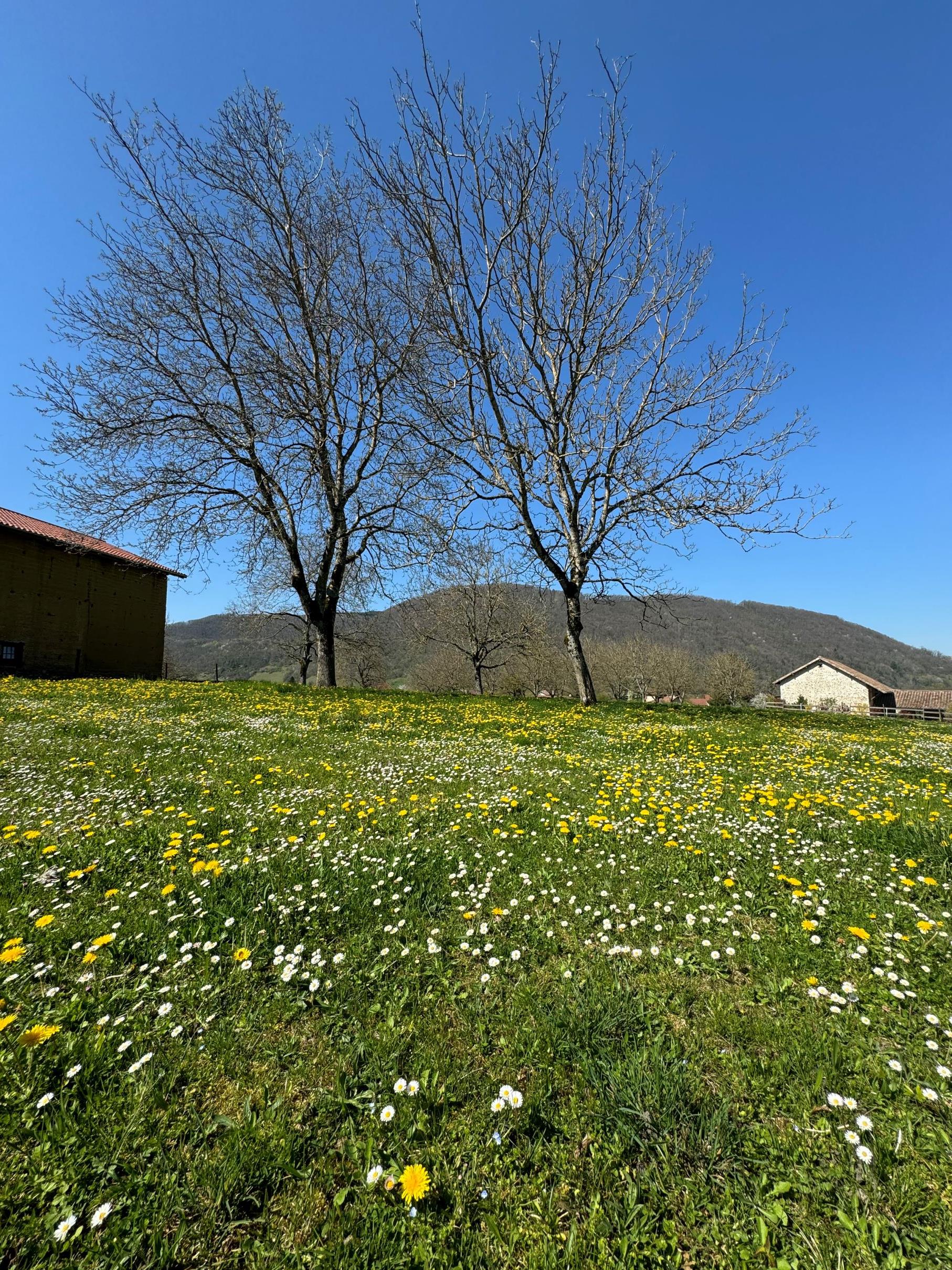 Terrain constructible à Voiron (#5145028)