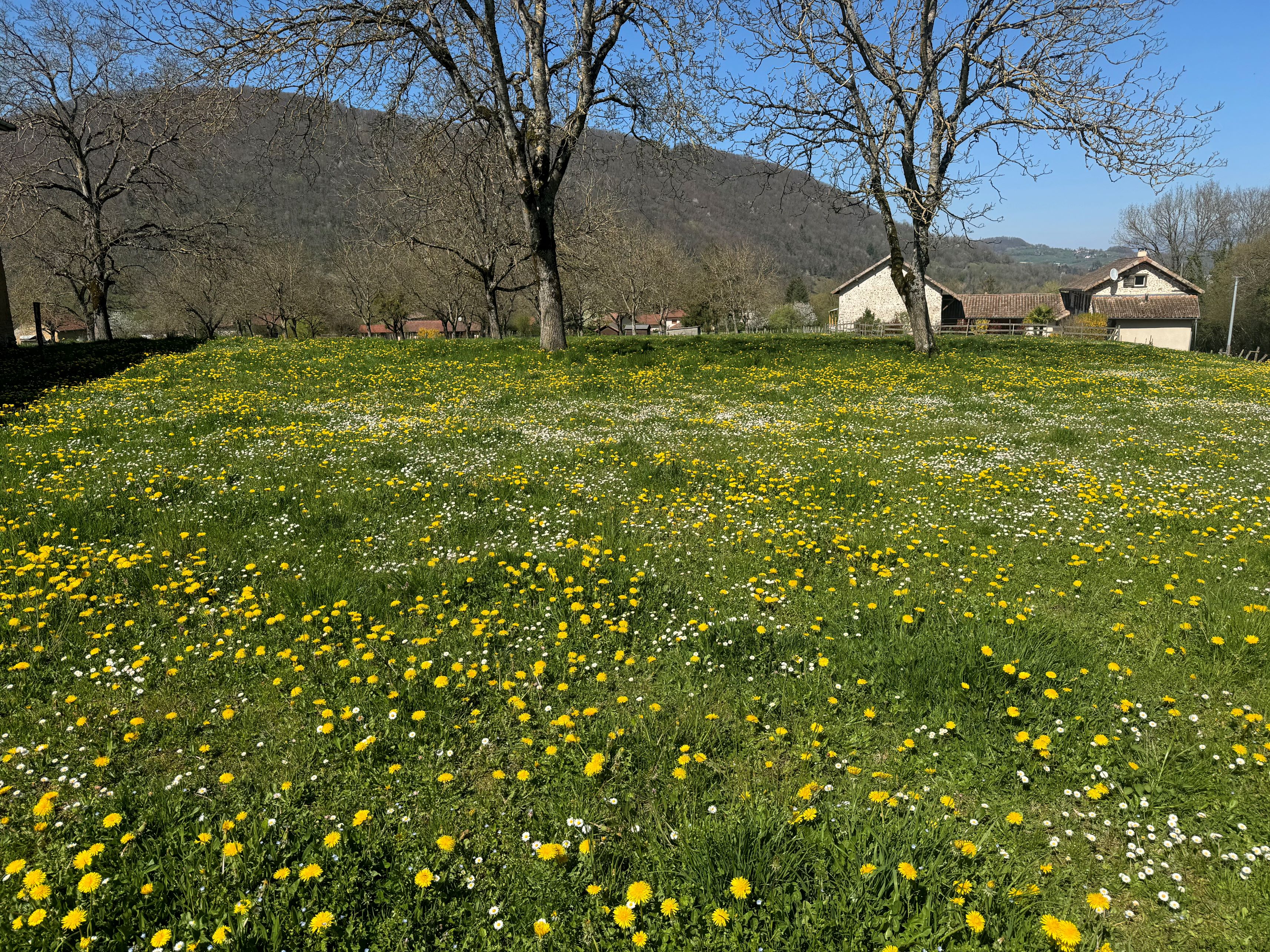 Terrain constructible à Voiron (#5145028)