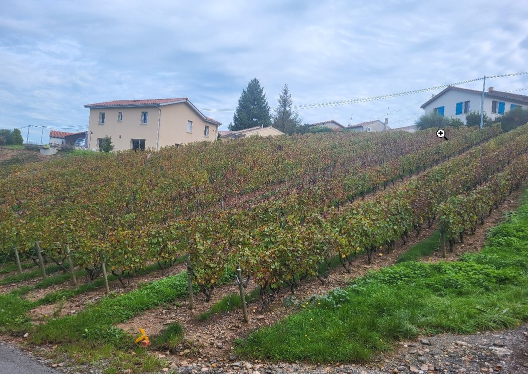 Maison avec terrain à Vaux-en-Beaujolais (#5152490)