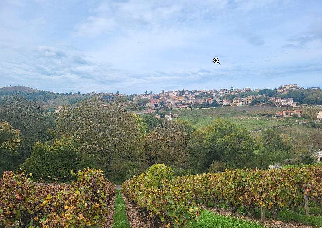 Maison avec terrain à Vaux-en-Beaujolais (#5152490)