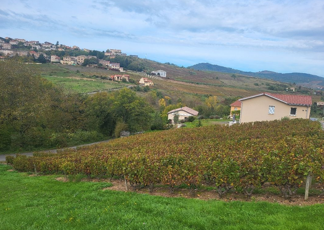 Maison avec terrain à Vaux-en-Beaujolais (#5152490)