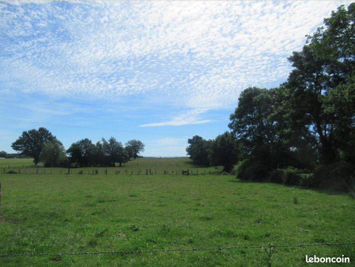 Maison avec terrain à Bâgé-Dommartin (#5152469)