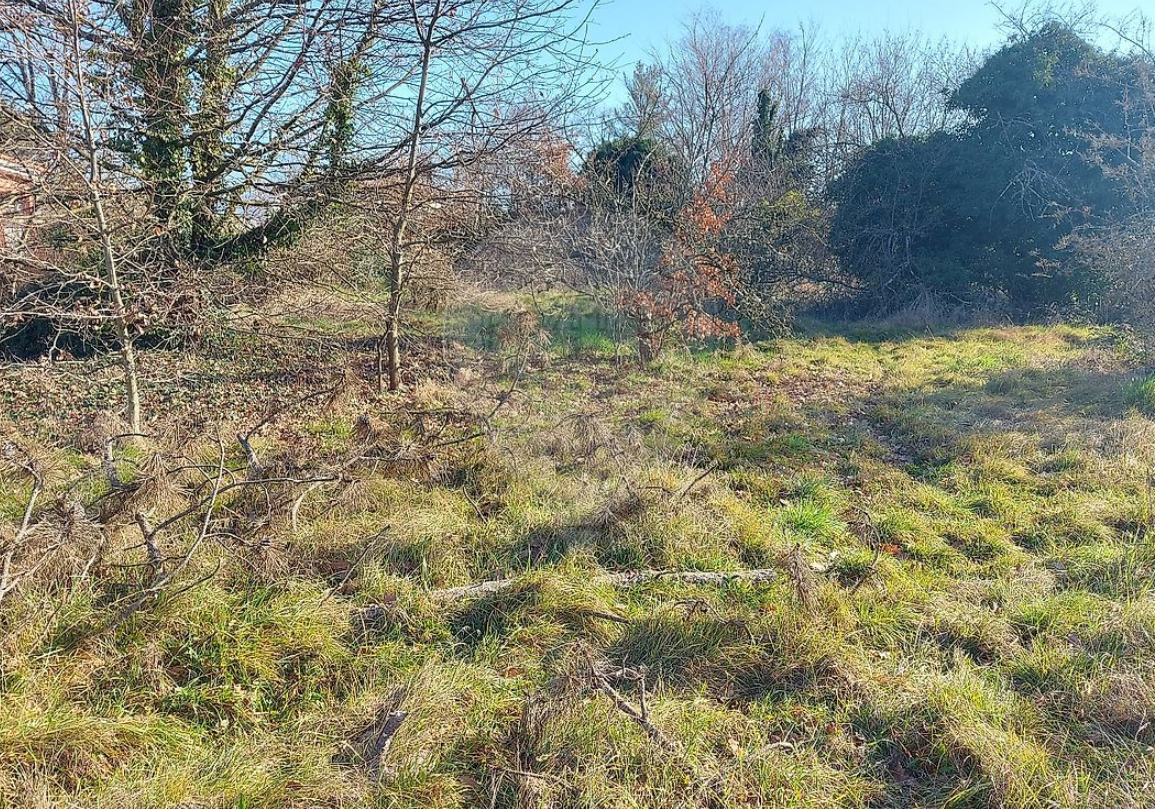 Maison avec terrain à Francheleins (#5152370)