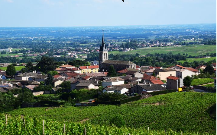 Maison avec terrain à Fleurie (#5152350)