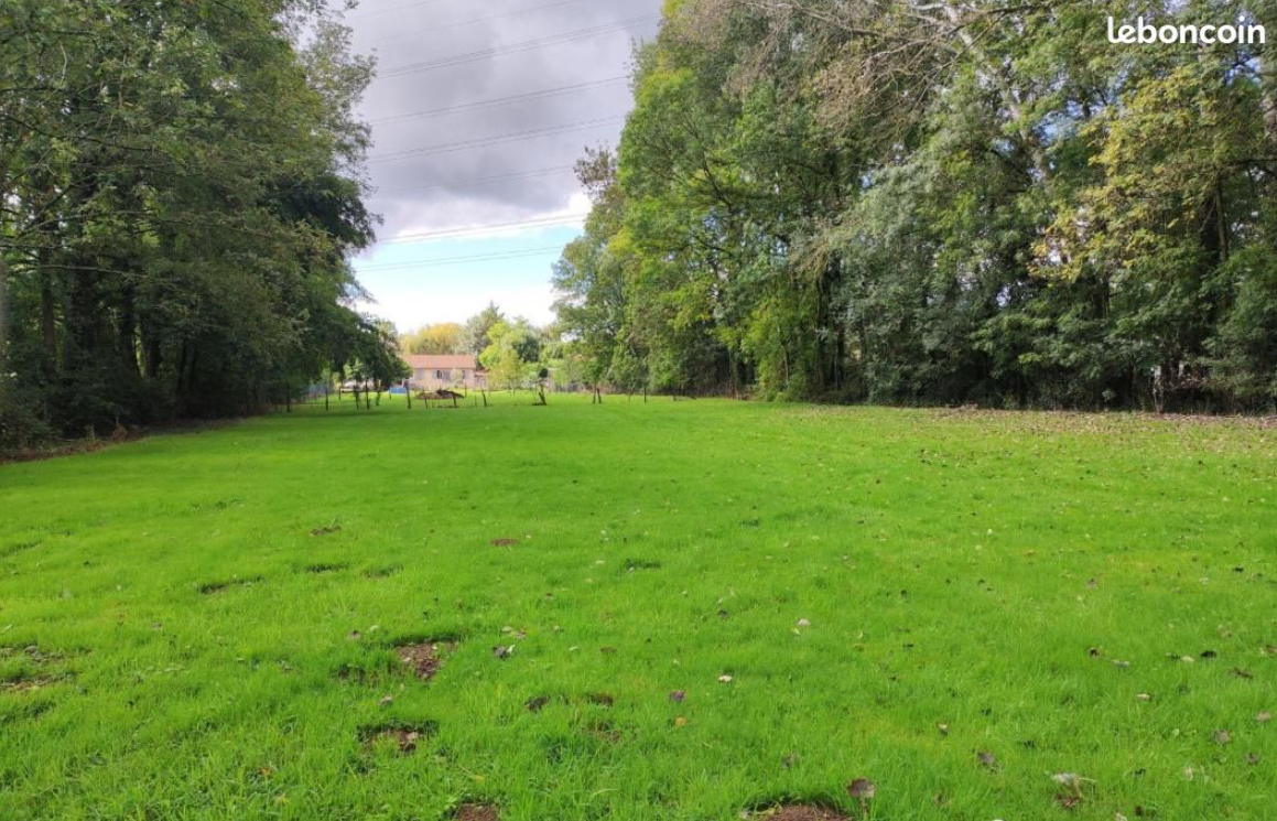 Maison avec terrain à La Chapelle-de-Guinchay (#5152344)
