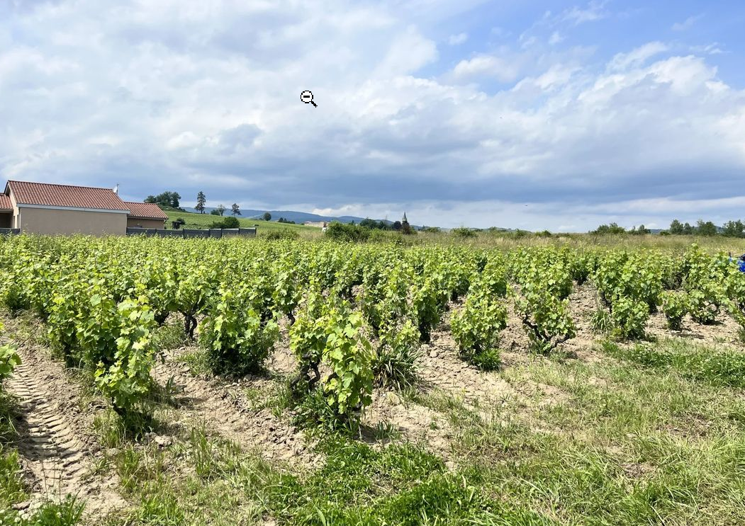 Maison avec terrain à Lancié (#5152342)