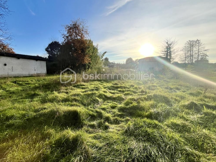 Maison avec terrain à Montmerle-sur-Saône (#5152306)