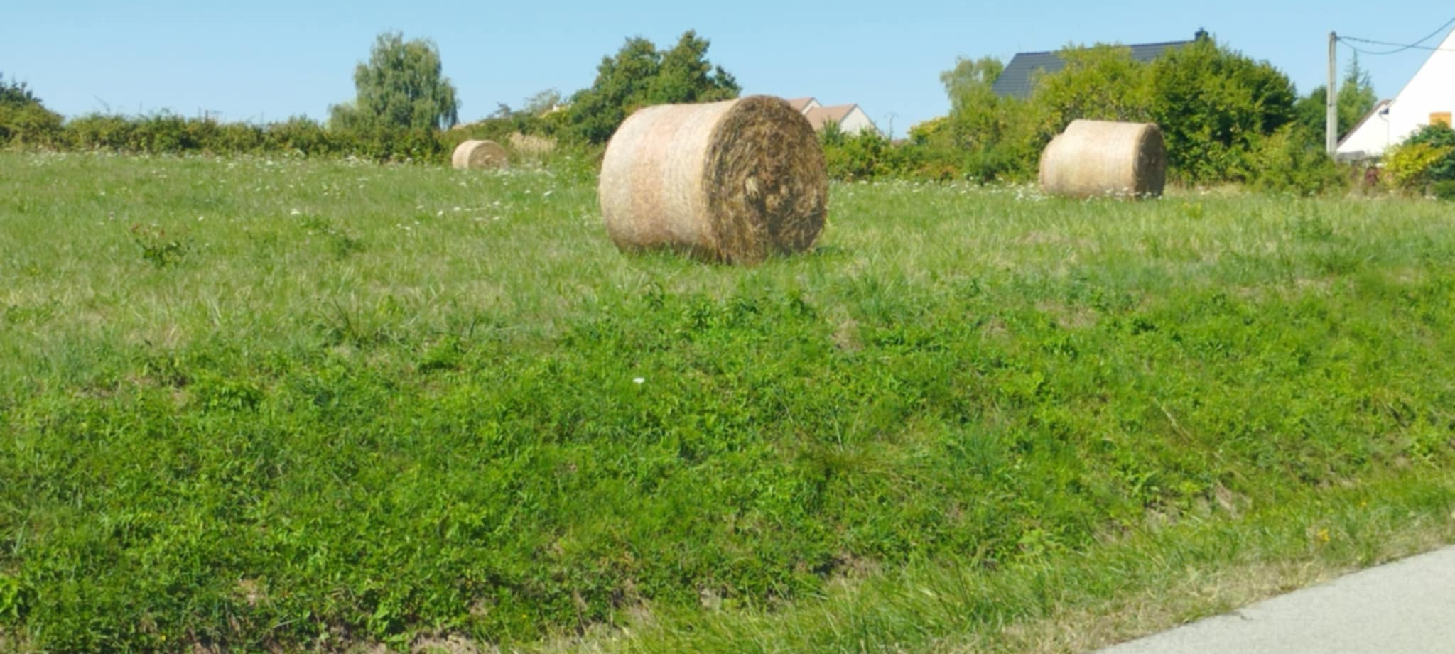 Maison avec terrain à Allériot (#5152581)