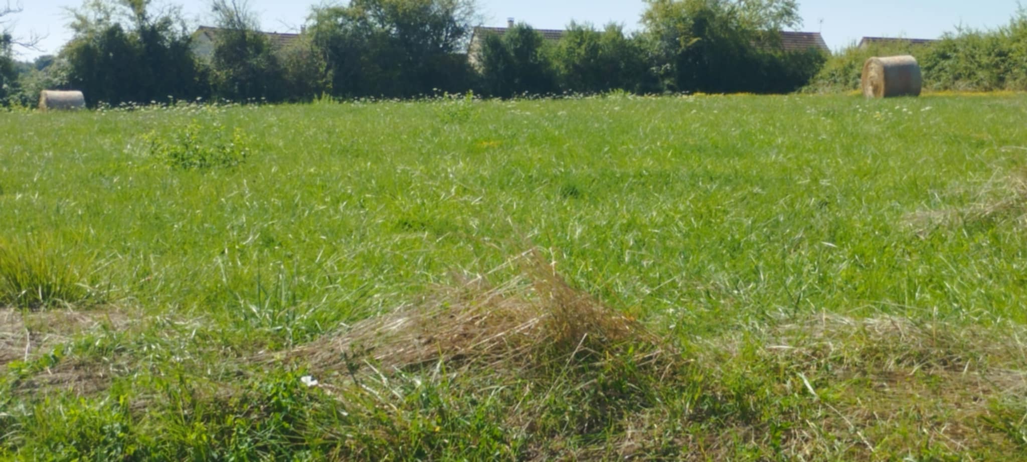Maison avec terrain à Allériot (#5152581)