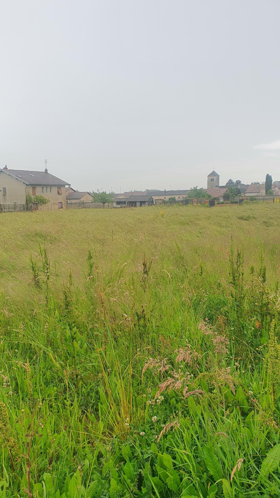 Maison avec terrain à Sancé (#5157739)