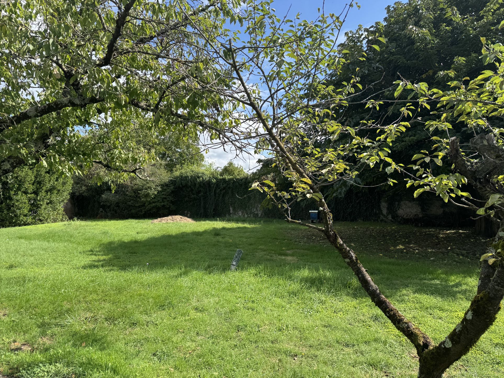 Terrain constructible à Saint-Quentin-Fallavier (#4858373)