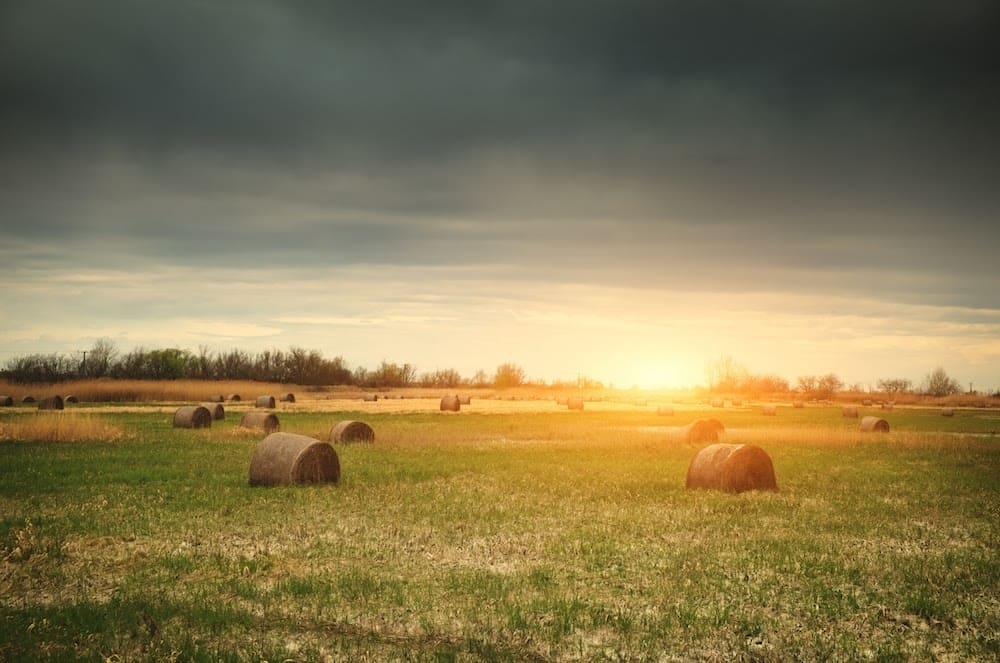 Photo maison Faverges 74210