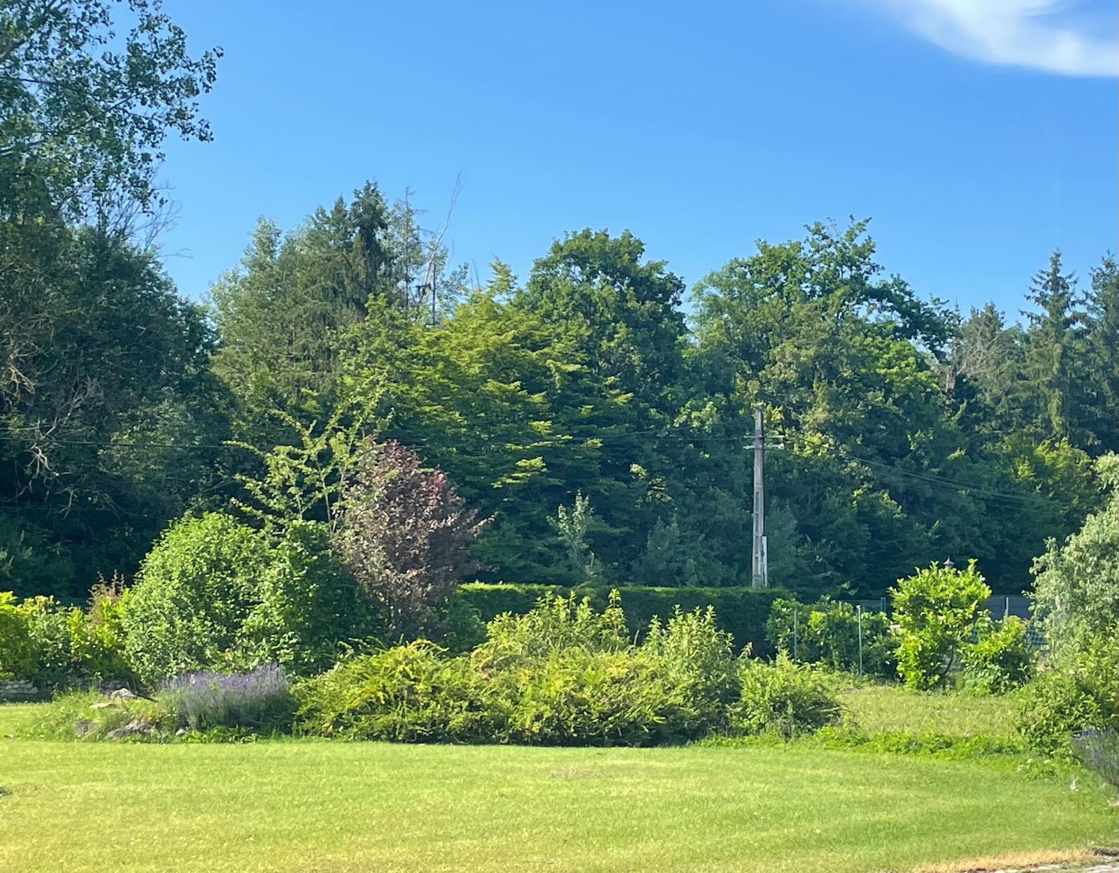 Photo maison Ballaison 74140