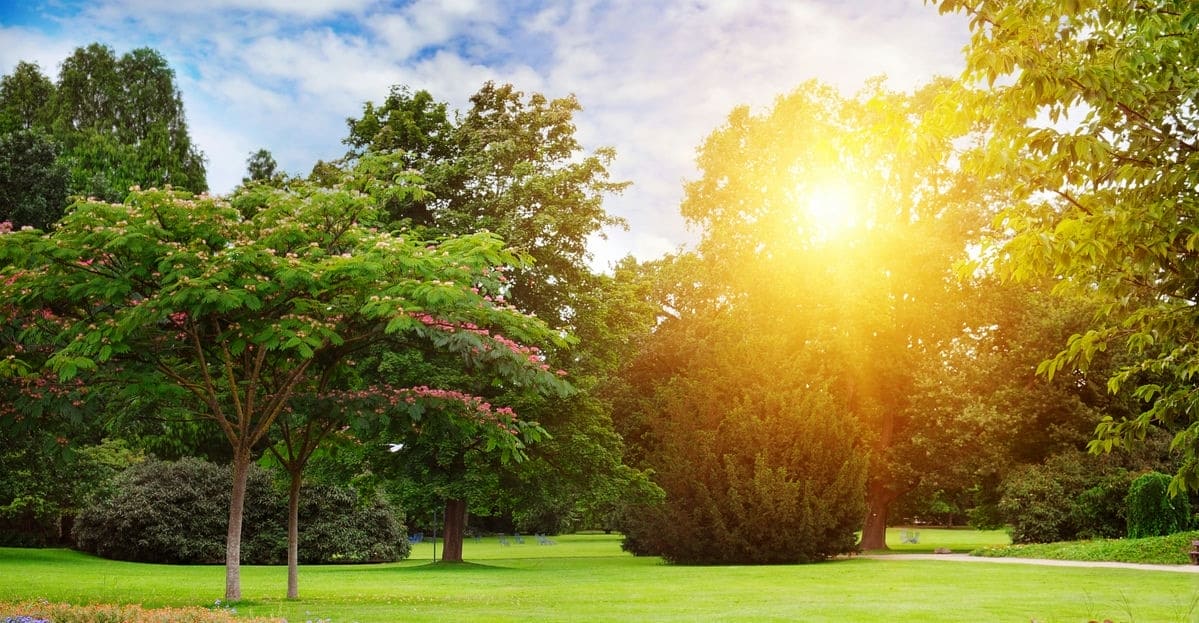 Photo maison Marlens 74210