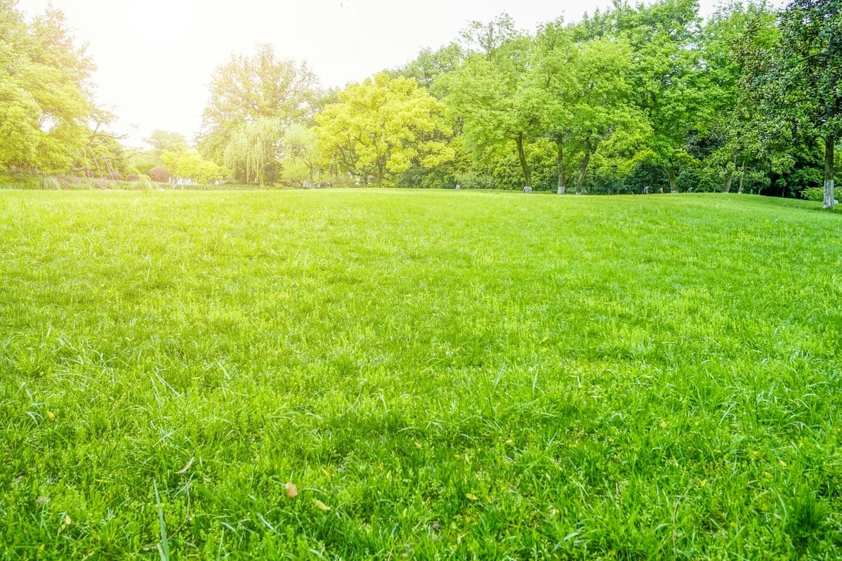 Photo maison Saint-Ferréol 74210