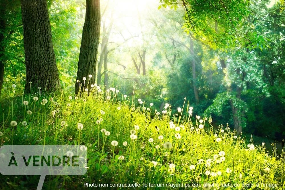 Photo maison Sillingy 74330