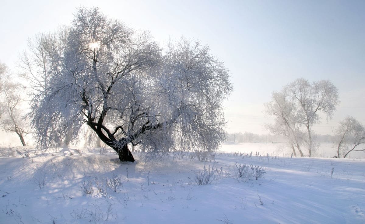 Photo maison Thyez 74300