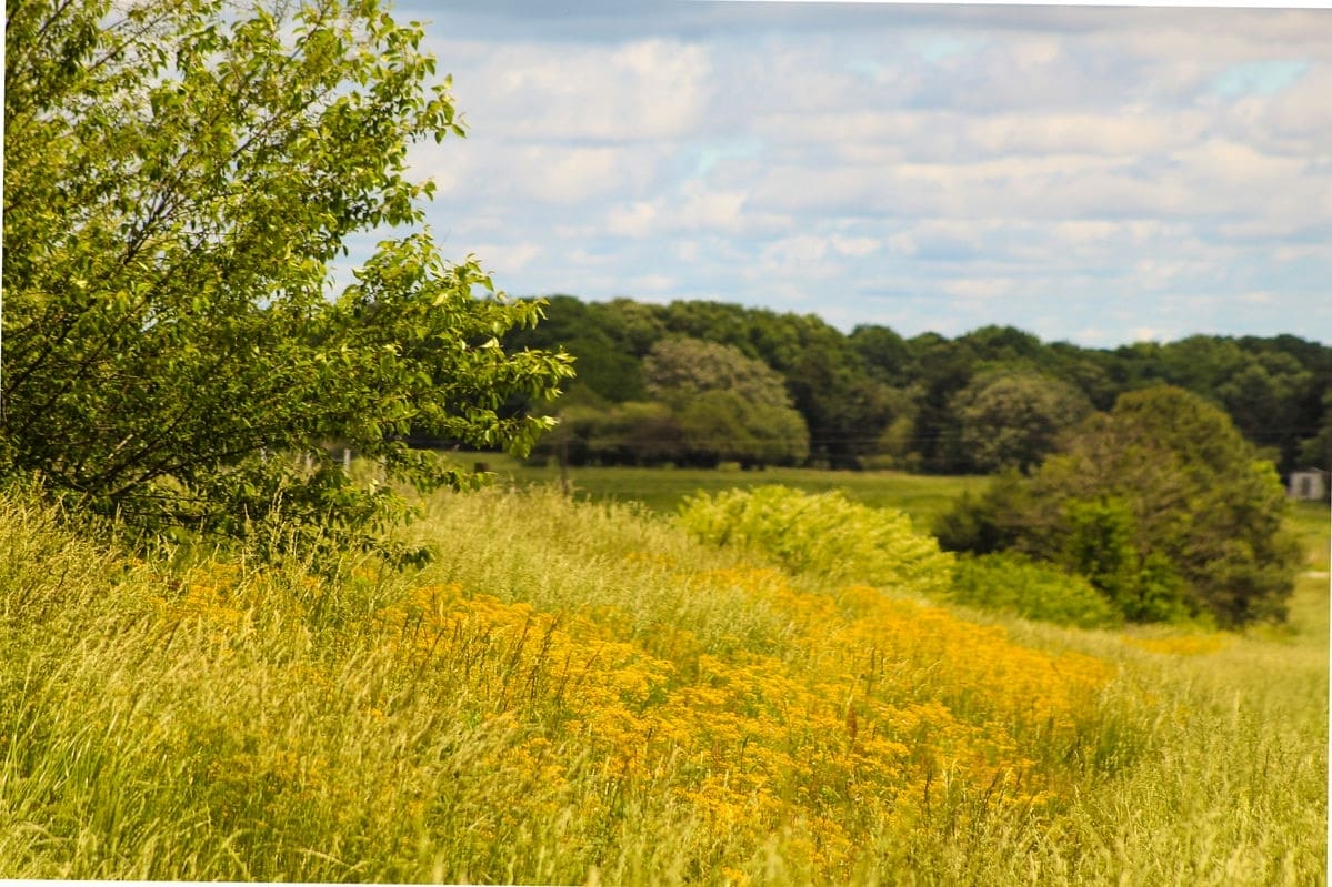 Photo maison La Chapelle 73660