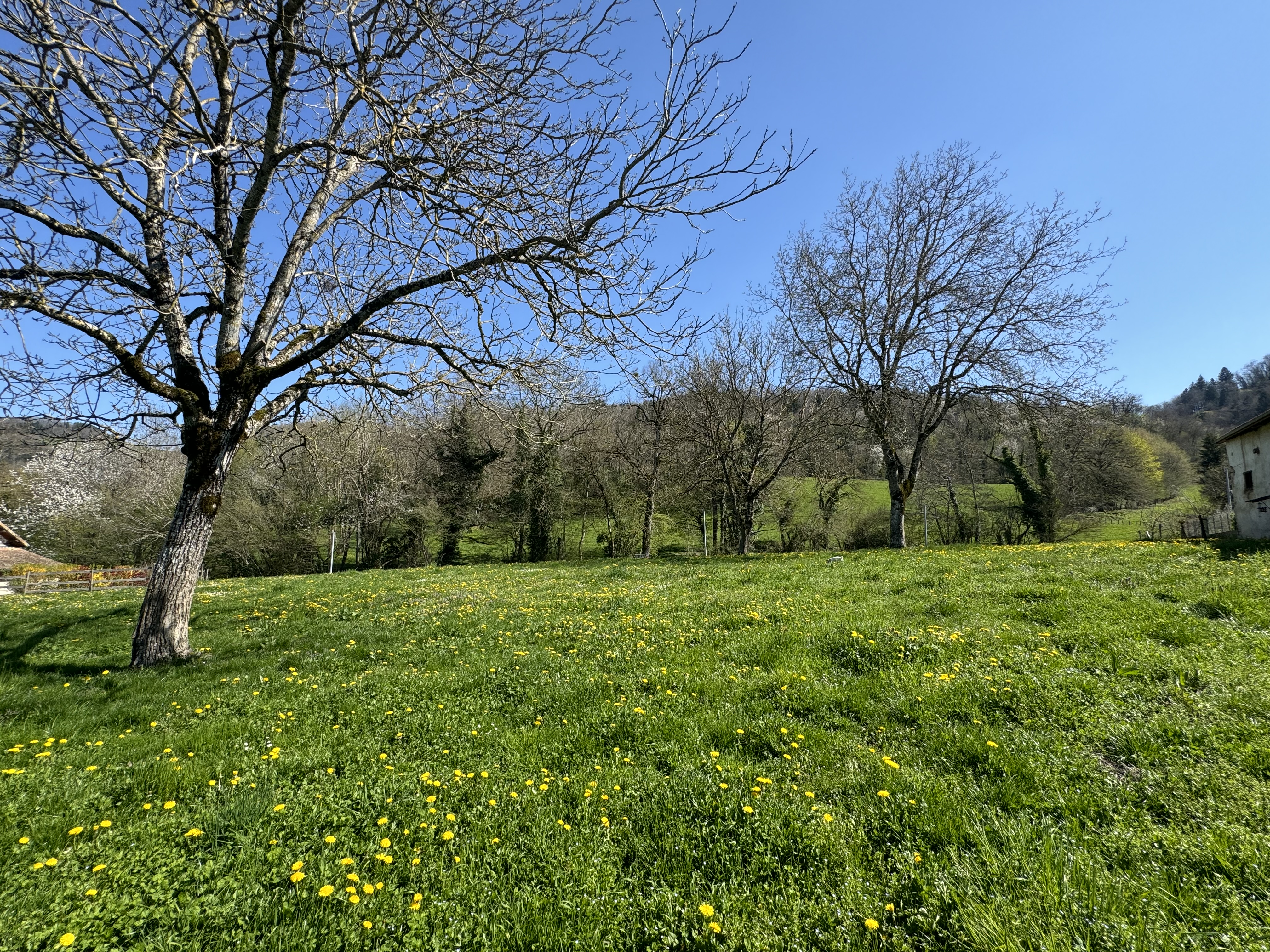 Terrain constructible à Chirens (#5145048)