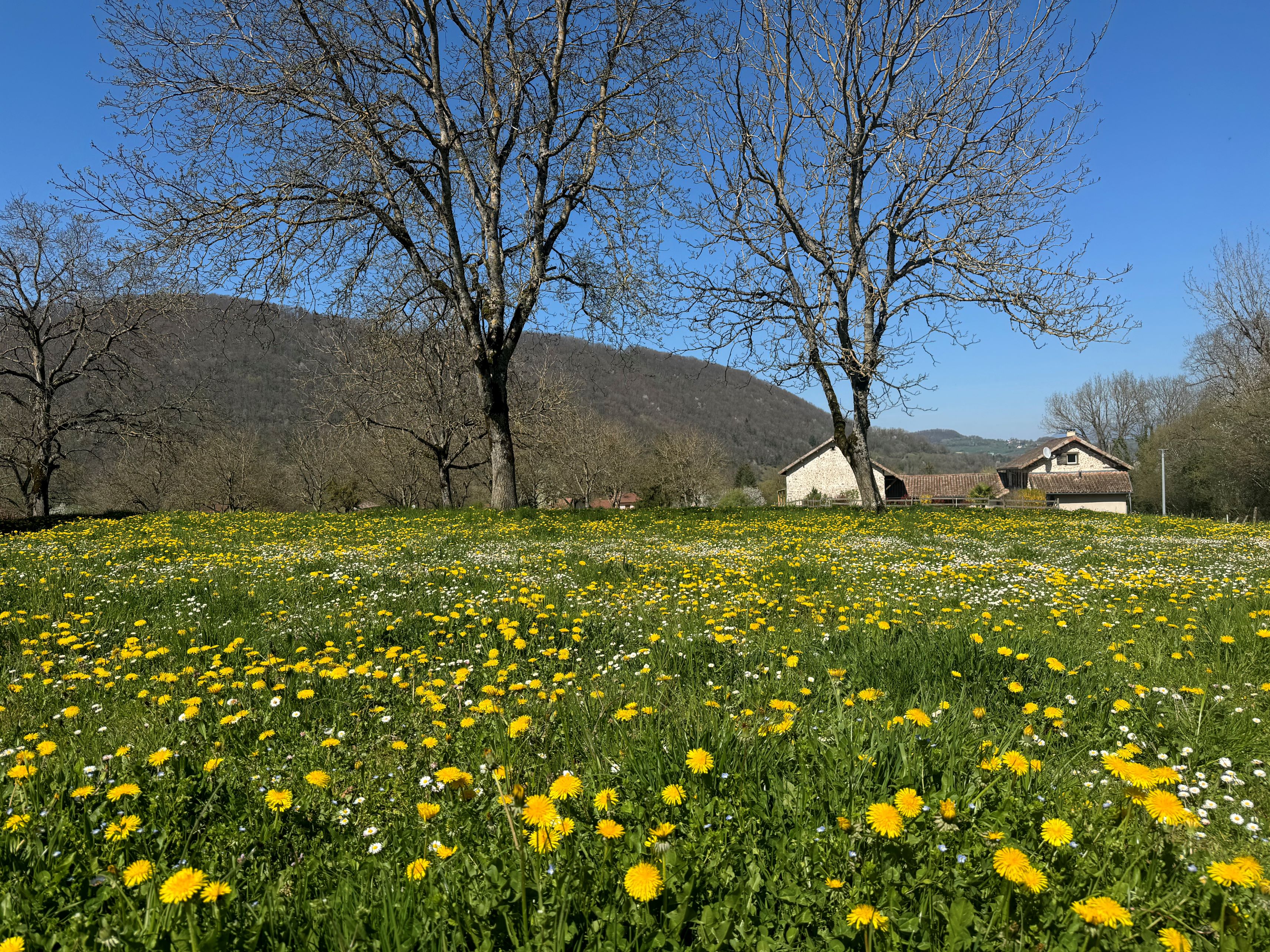Maison avec terrain à Chirens (#5145049)