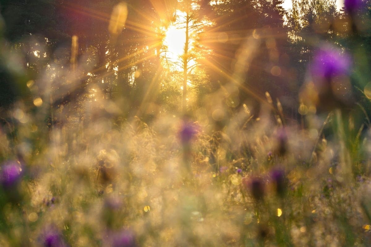 Photo maison Pontcharra 38530