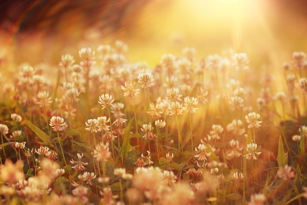 Photo maison Claix 38640