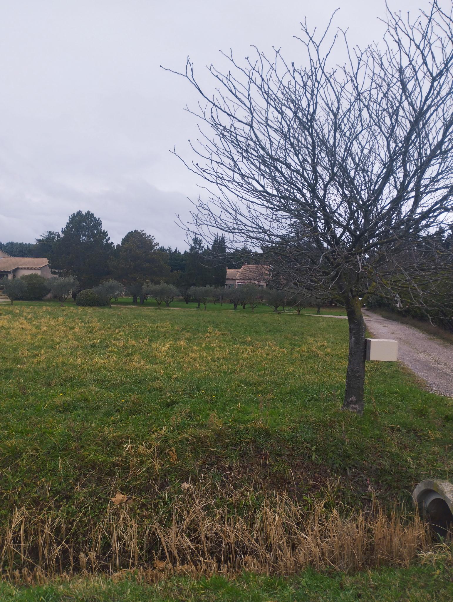 Terrain constructible – Sénas (13560)