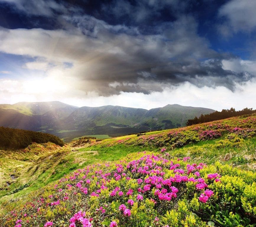 Photo maison Filli&egrave;re 74370