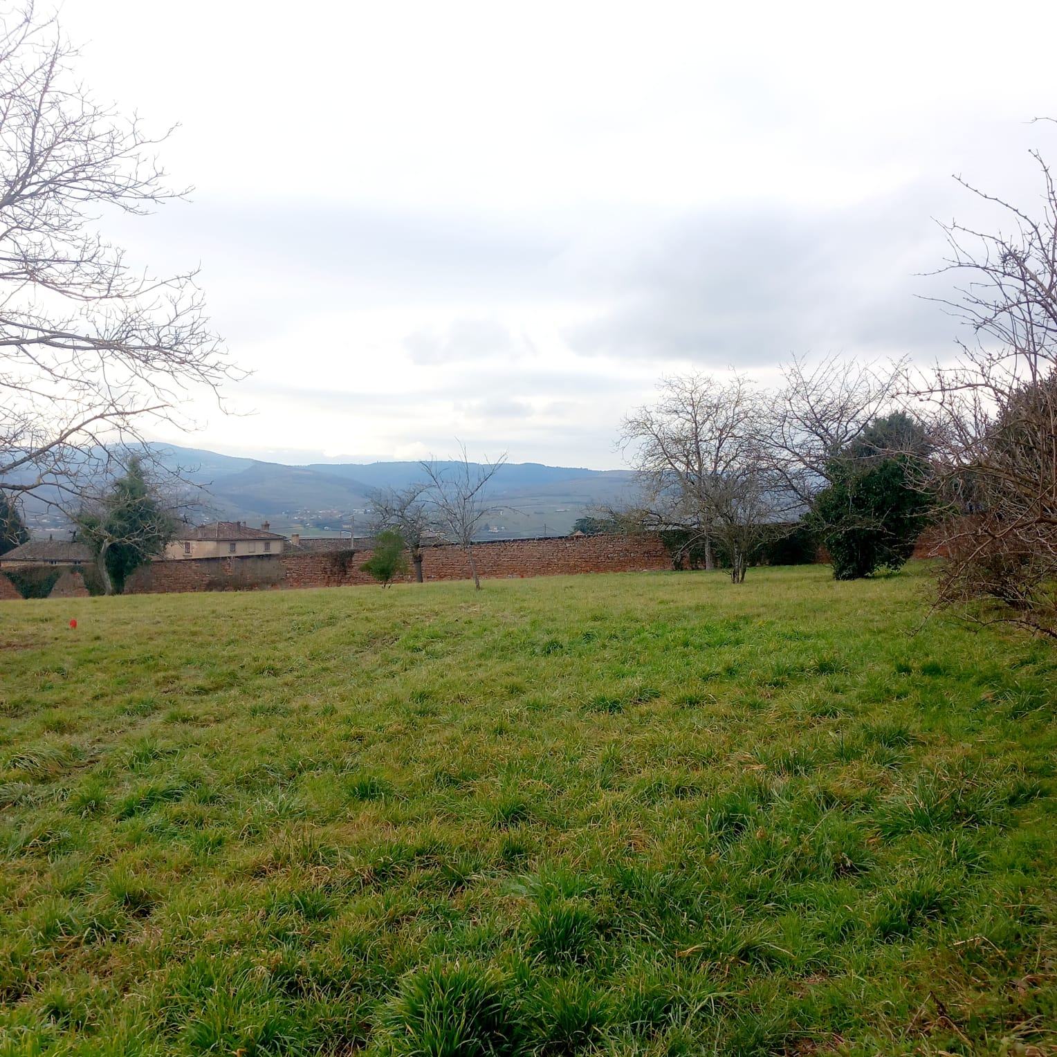 Maison avec terrain à Charnay-lès-Mâcon (#5137507)