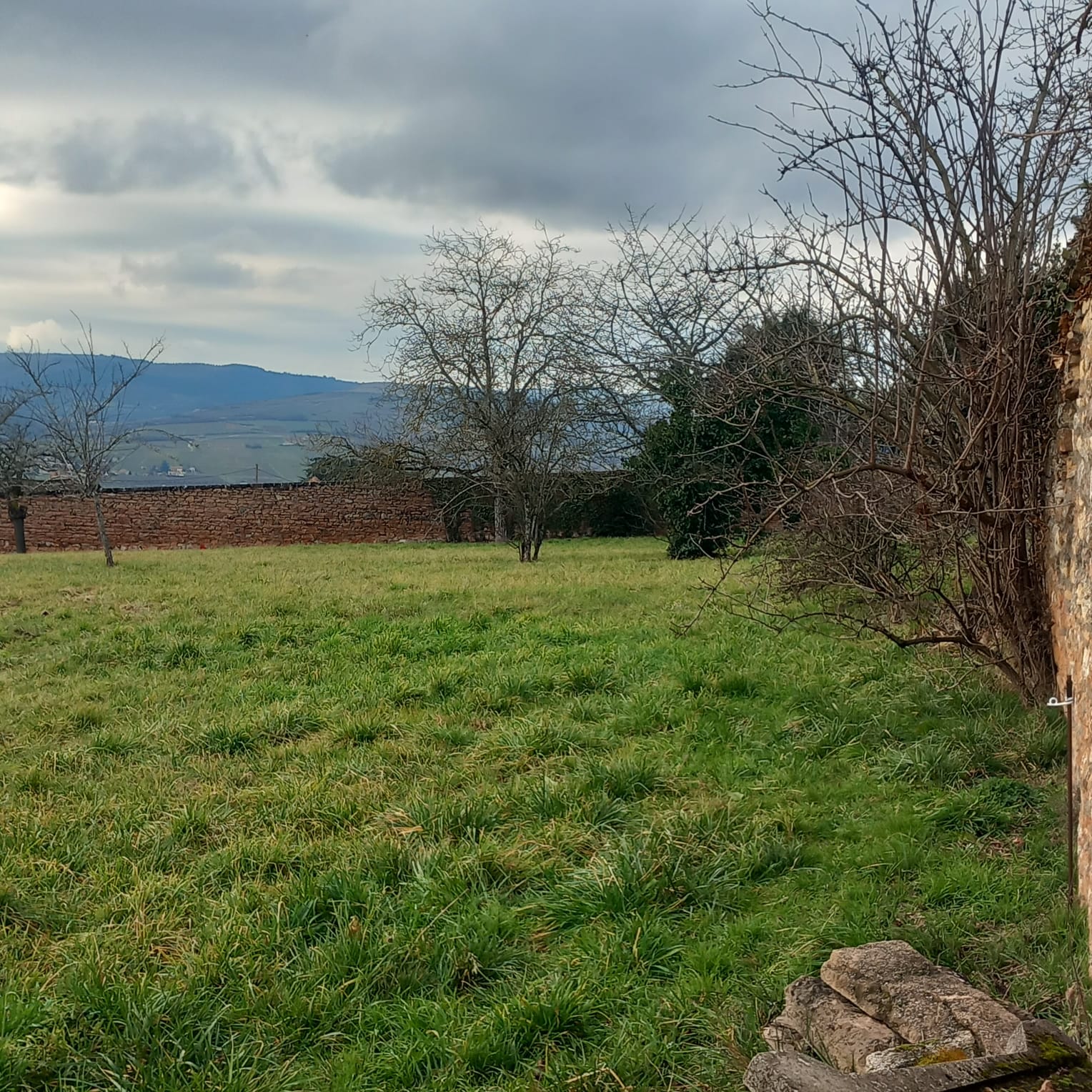 Maison avec terrain à Charnay-lès-Mâcon (#5137507)