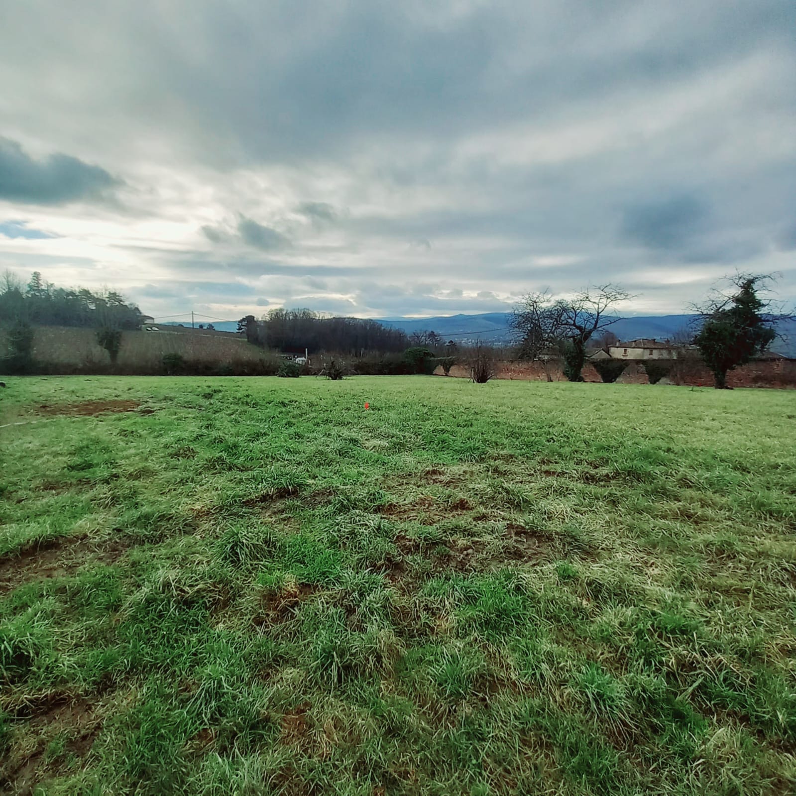 Terrain constructible à Charnay-lès-Mâcon (#5152288)