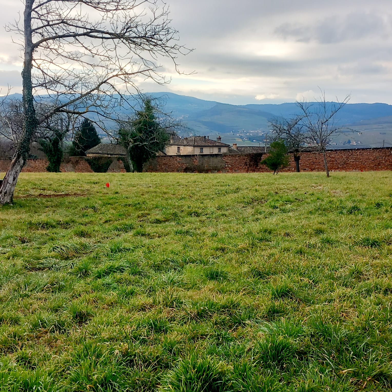 Terrain constructible à Charnay-lès-Mâcon (#5152288)
