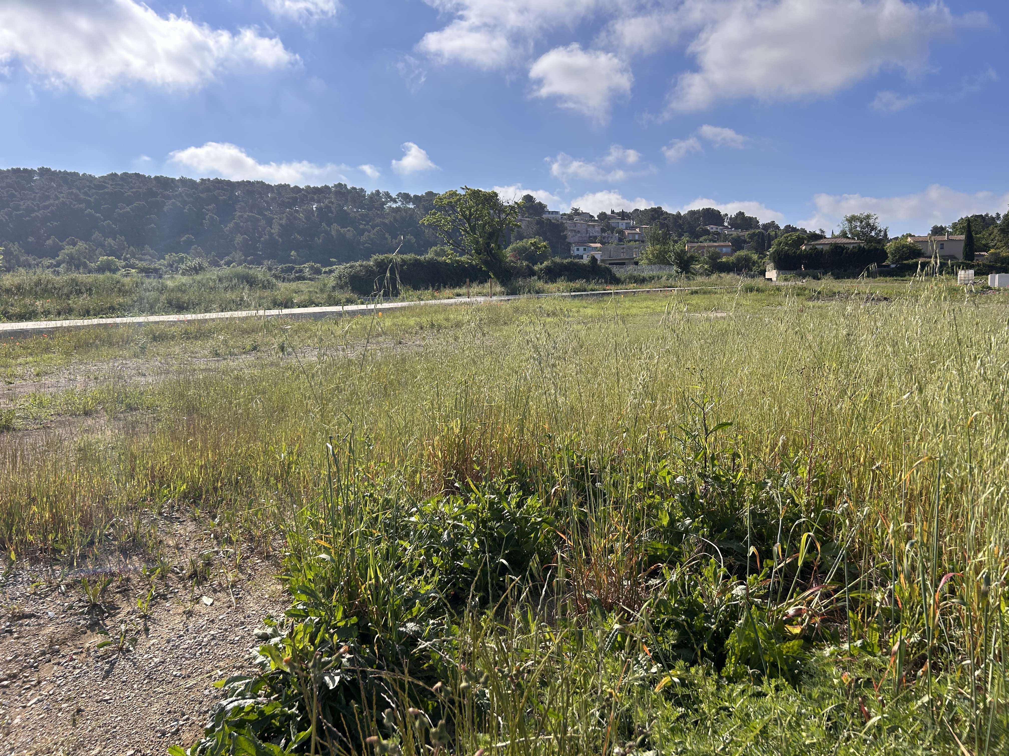 Terrain constructible – Langlade (30980)