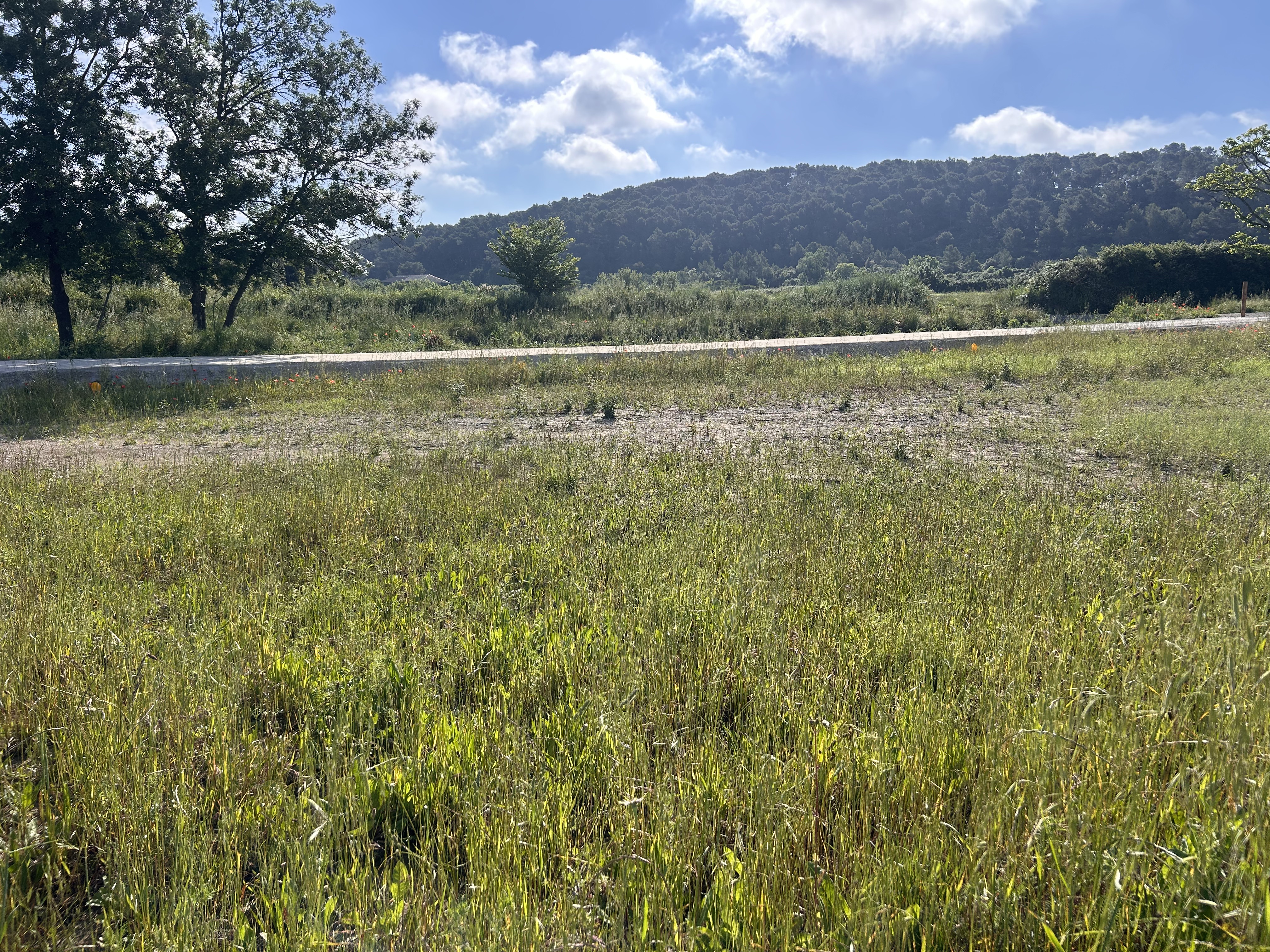 Terrain constructible – Langlade (30980)