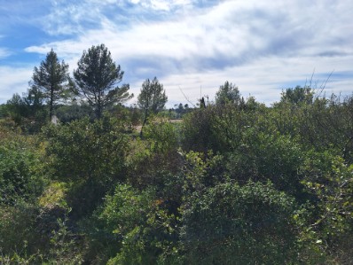 Terrain constructible – Guzargues (34820)