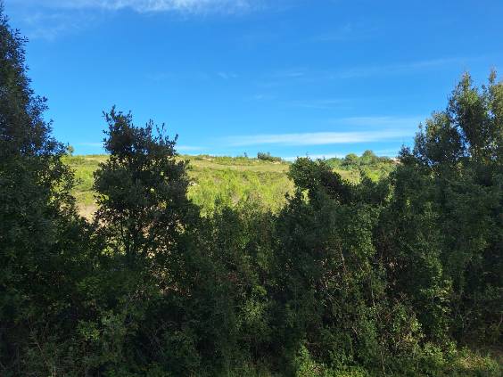 Terrain constructible – Guzargues (34820)