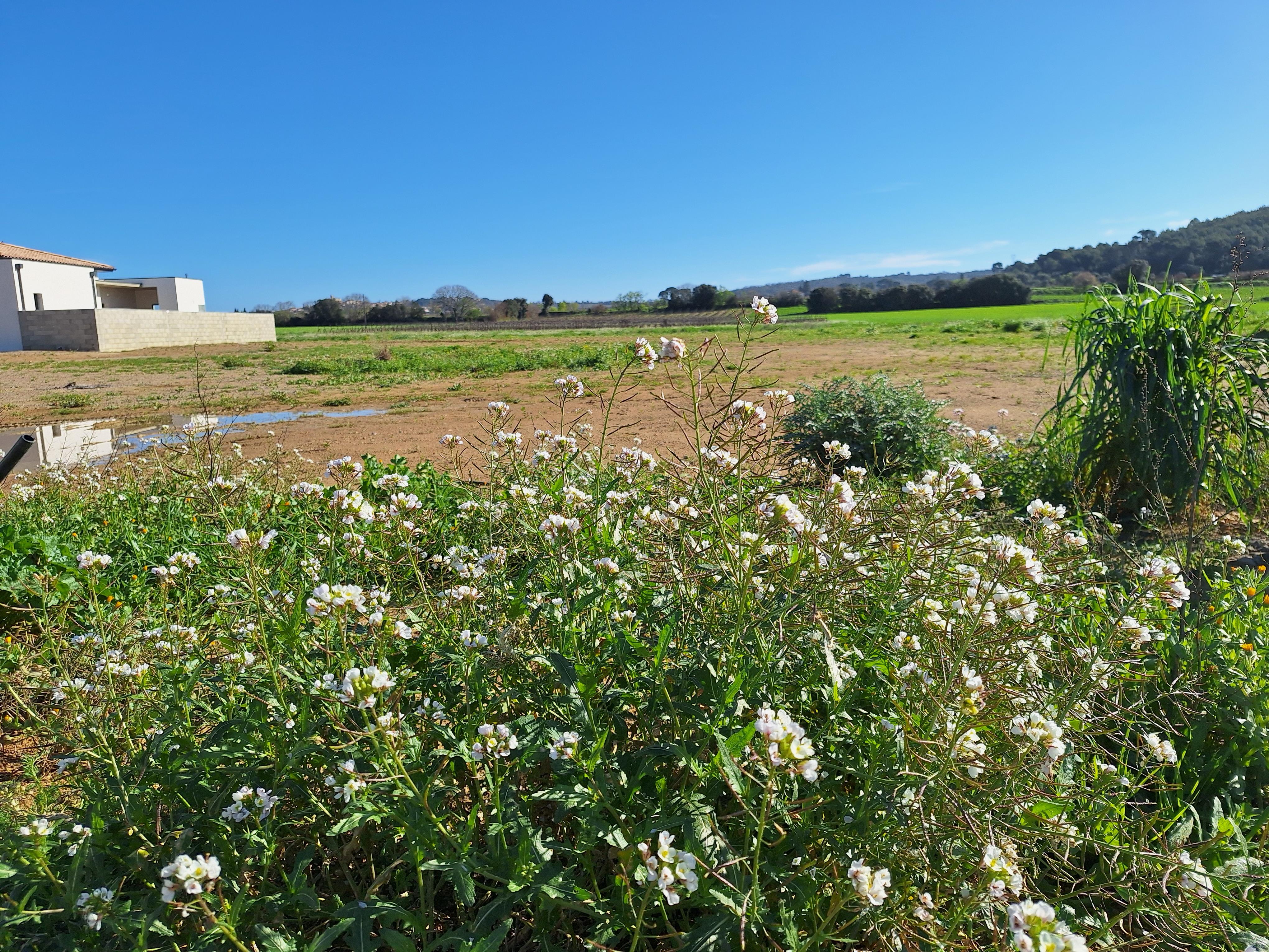 Terrain constructible – Lignan-sur-Orb (34490)