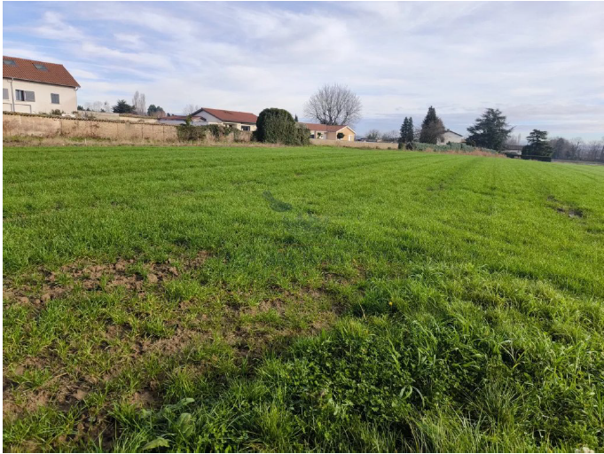 Maison avec terrain à Saint-Georges-de-Reneins (#5139014)