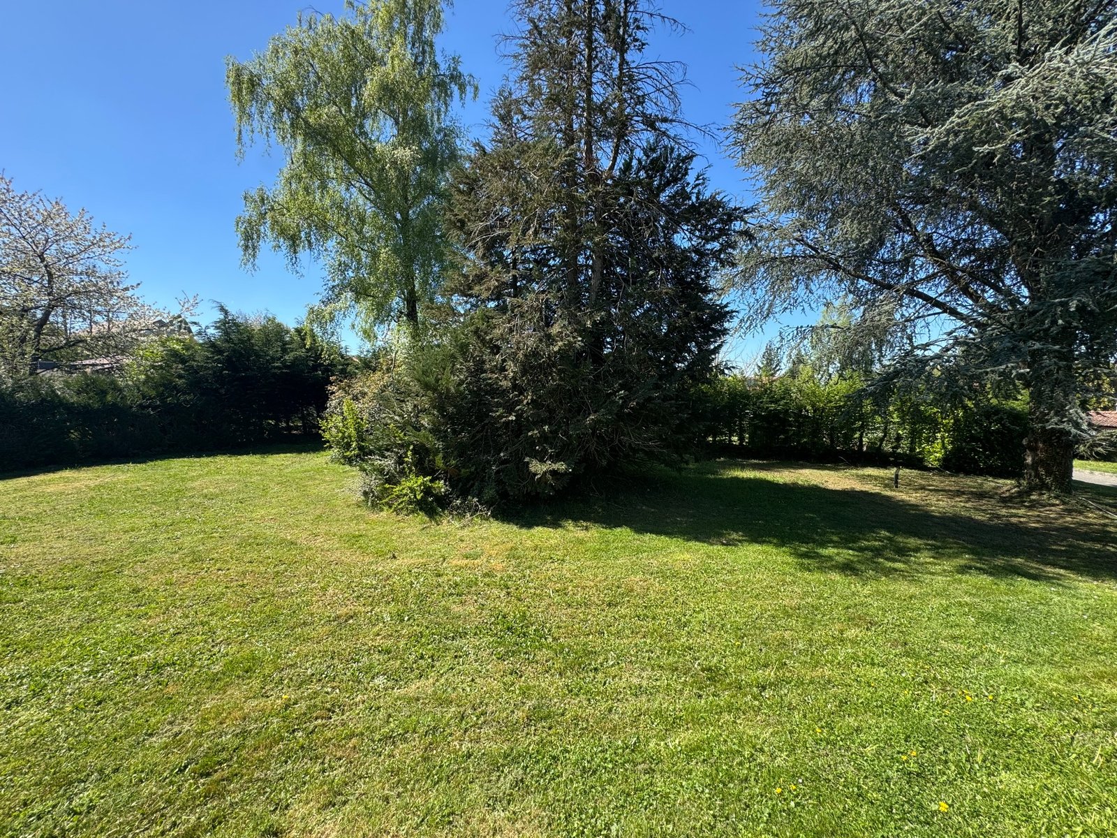 Terrain constructible à Ruy (#5145061)