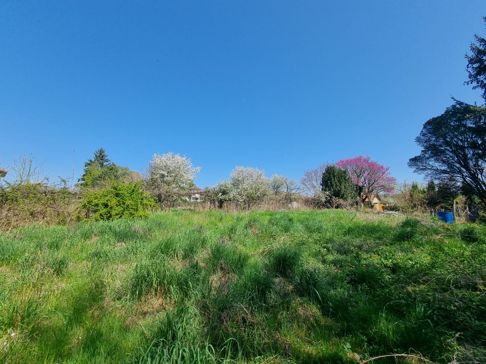 Terrain constructible à Collonges-au-Mont-d&rsquo;Or (#5145062)