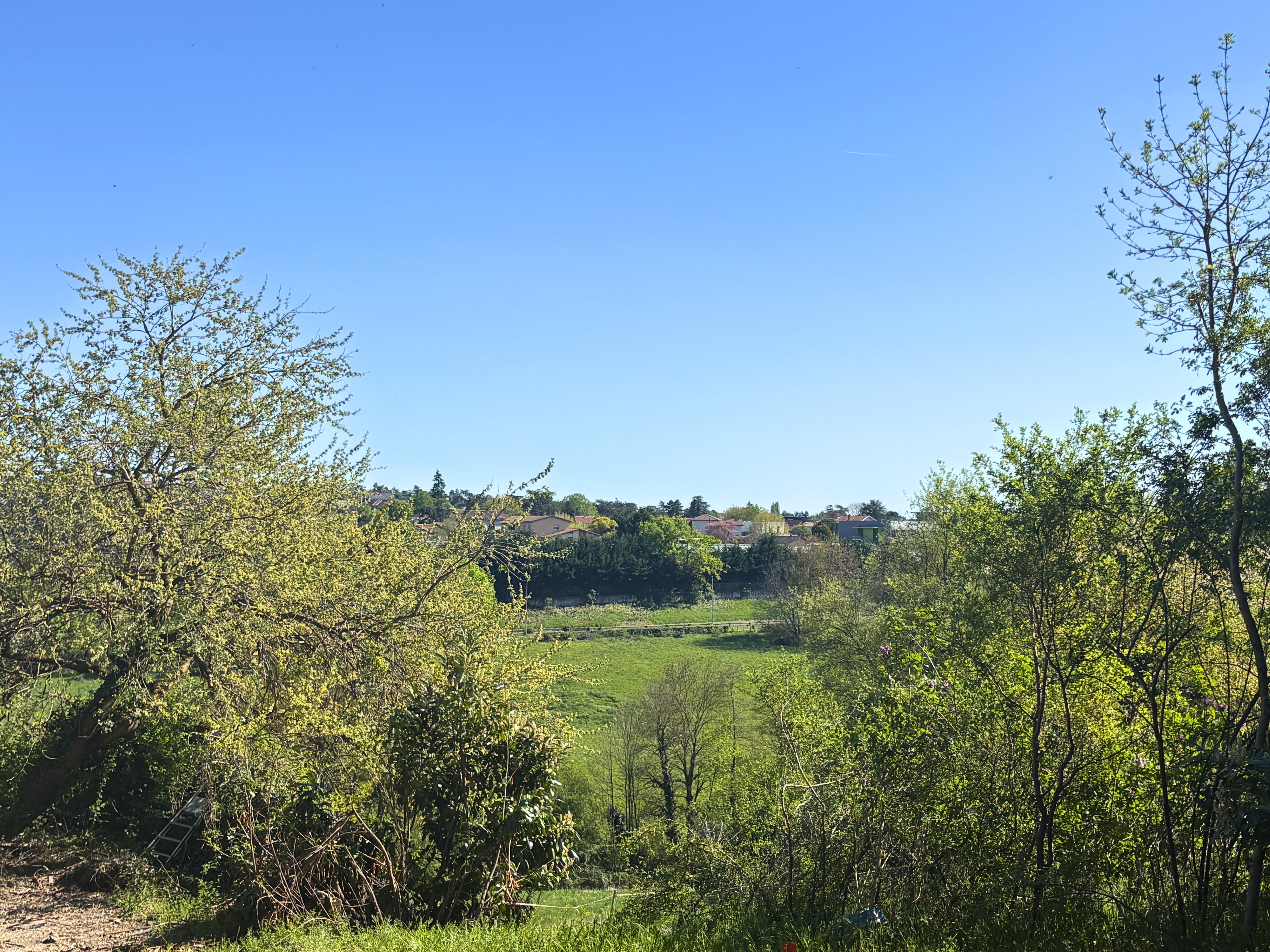 Maison avec terrain à Sainte-Foy-lès-Lyon (#5145515)
