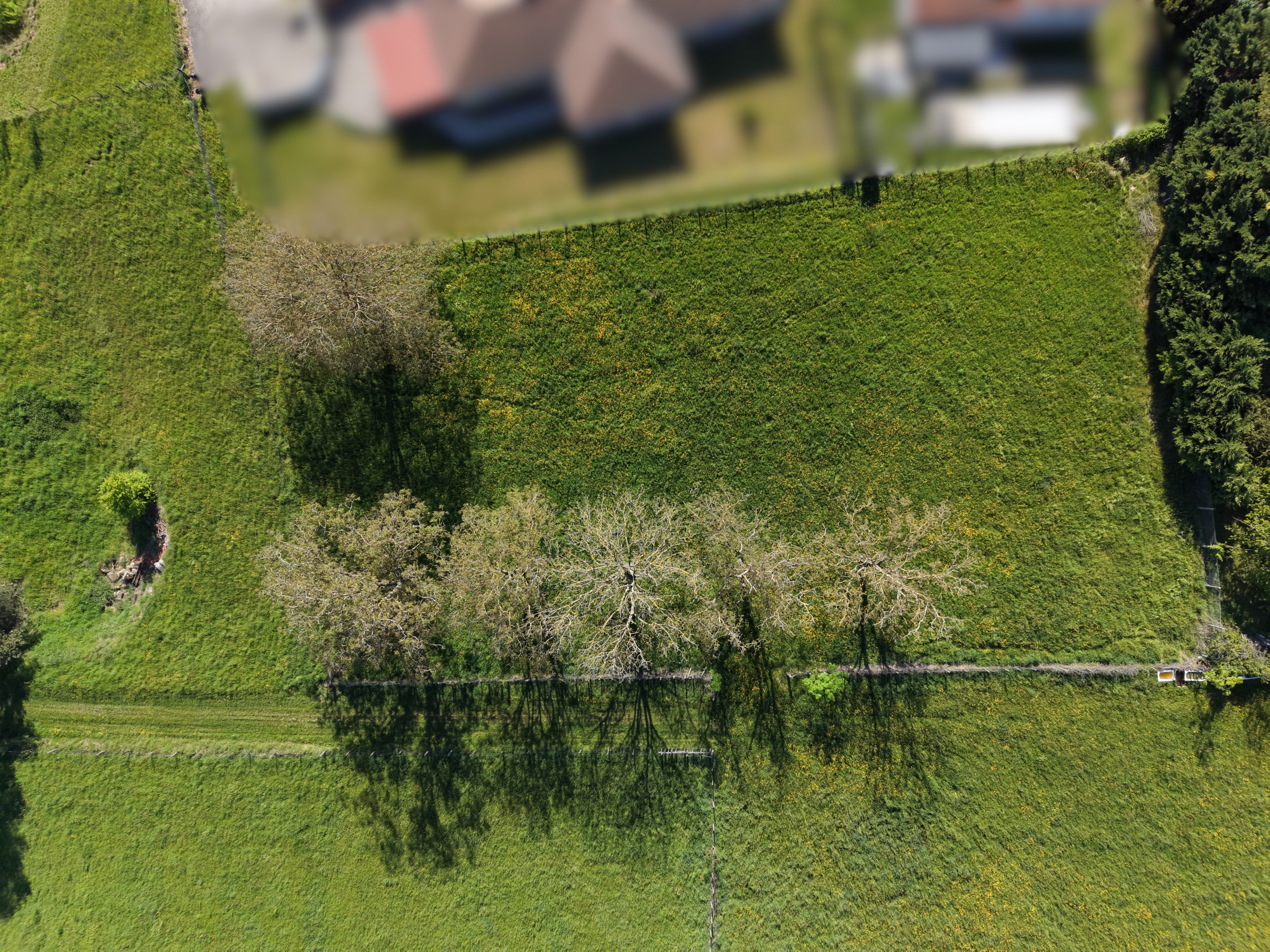 Terrain constructible à Valencin (#5159230)