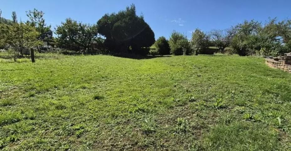 Maison avec terrain à Prissé (#5170991)