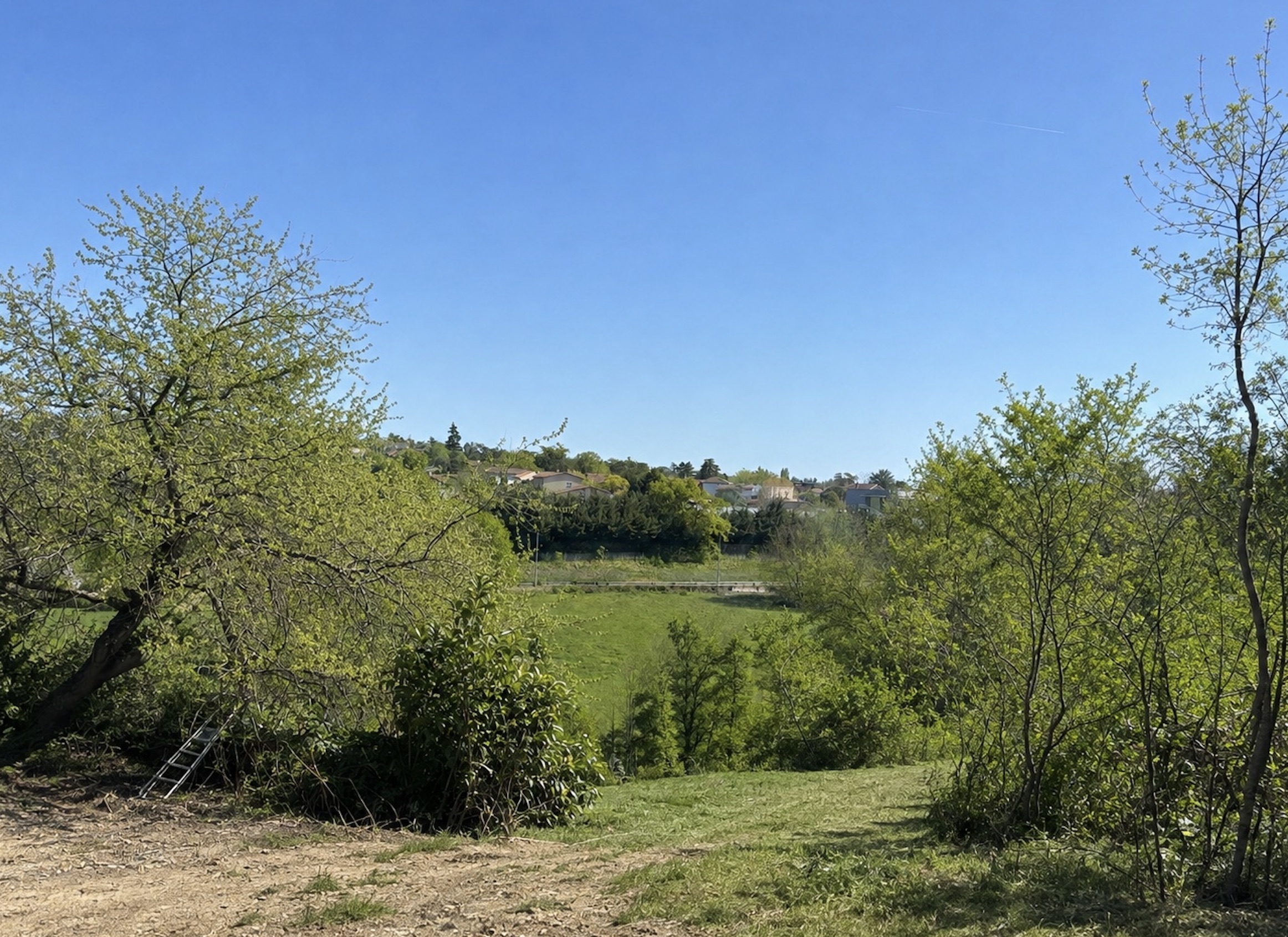 Terrain constructible à Sainte-Foy-lès-Lyon (#5329393)