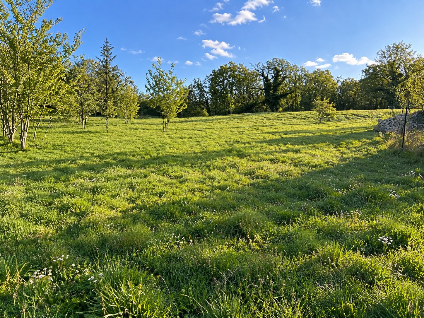 Terrain constructible à Creys-Mépieu (#5321985)