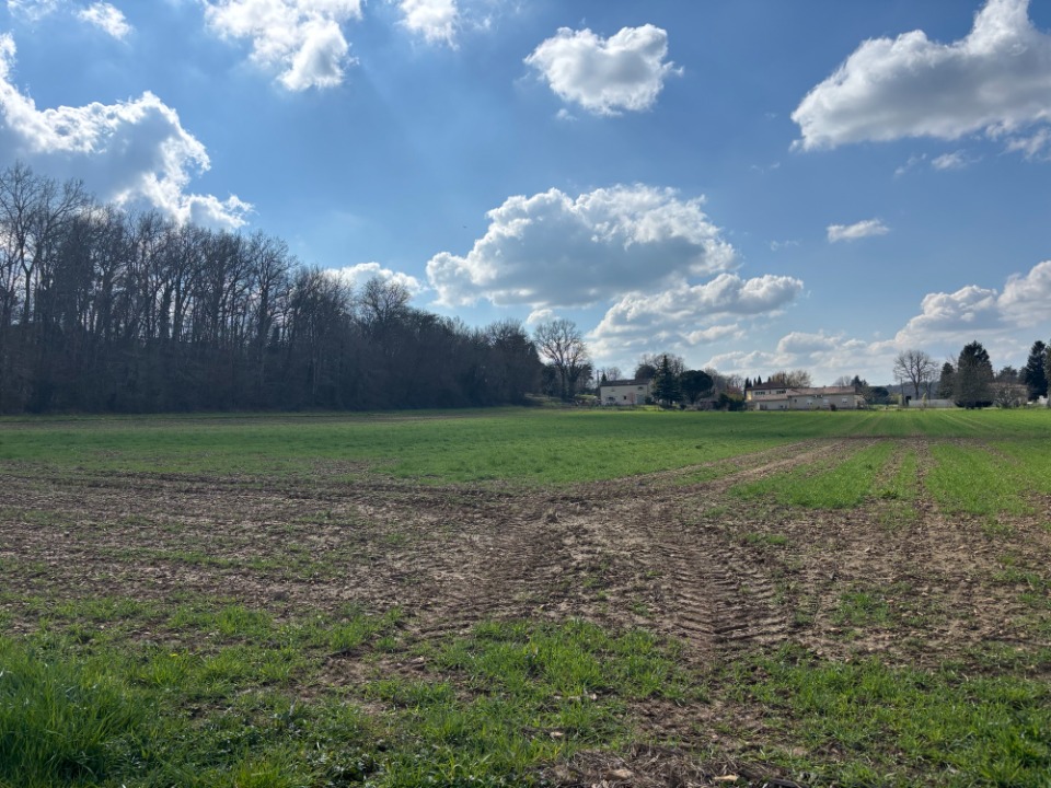 RG2114851 - Terrain/Terre - Varennes